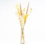 Fleurs séchées avec bouteille LOTTCHEN, marron, 77cm, Ø15cm