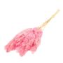 Botte sèche de roseau DONJETA, rose, 70-80cm, Ø15cm