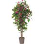 Bougainvillier artificiel INGELOTTE, troncs en bois véritable, fleurs, rose fuchsia, 200cm - Made in Italy