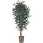 Erable du Japon décoratif KESCHA, troncs naturels, vert, 200cm - Made in Italy