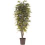 Erable du Japon décoratif KESCHA, troncs naturels, vert-rouge, 300cm - Made in Italy