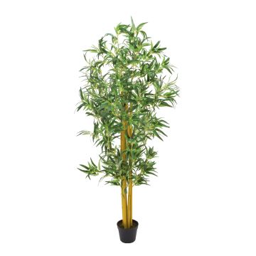Arbre artificiel en bambou HIROKO, troncs naturels, 180 cm Arbre artificiel en bambou HIROKO, troncs naturels, 180 cm