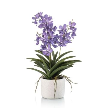 Orchidée Vanda décorative PAVRA en pot en céramique, racines, violet-blanc, 60cm