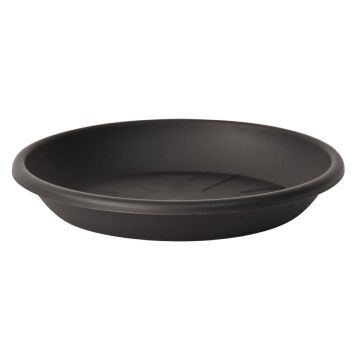 Soucoupe ronde pour pot de fleurs VENERA en plastique recyclé, avec des trous, anthracite, 5cm, Ø32cm