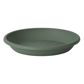 Soucoupe ronde pour pot de fleurs VENERA en plastique recyclé, avec des trous, vert sauge, 4cm, Ø24cm Soucoupe ronde pour pot de fleurs VENERA en plastique recyclé, avec des trous, vert sauge, 4cm, Ø24cm