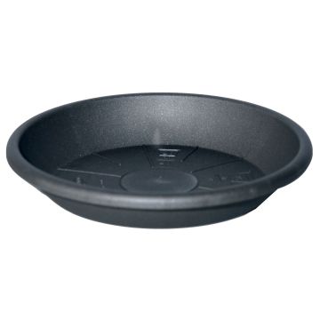 Soucoupe ronde pour pot de fleurs DONIKA en plastique, avec des trous, anthracite, 4cm, Ø22cm