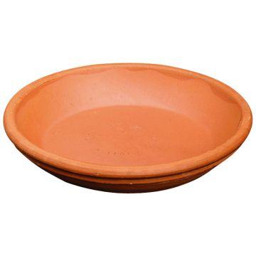 Soucoupe ronde pour pot de fleurs en terre cuite MELIZA, 2cm, Ø9cm Soucoupe ronde pour pot de fleurs en terre cuite MELIZA, 2cm, Ø9cm