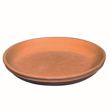 Soucoupe ronde pour pot de fleurs NUVENS en terre cuite, 2 cm, Ø 17 cm Soucoupe ronde pour pot de fleurs NUVENS en terre cuite, 2 cm, Ø 17 cm