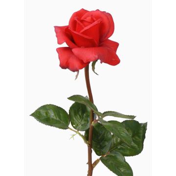 Rose décorative AMELIE, rouge, 70cm, Ø8cm Rose décorative AMELIE, rouge, 70cm, Ø8cm