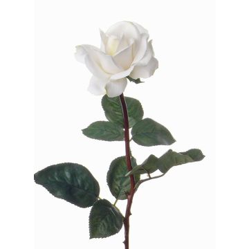 Rose décorative AMELIE, blanc, 70cm, Ø8cm Rose décorative AMELIE, blanc, 70cm, Ø8cm