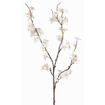 Branche décorative de pommier en fleurs LOUISA, crème-blanc, 80cm, Ø3-4cm