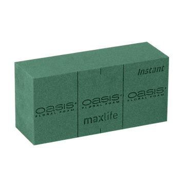 OASIS® Instant Maxlife Mousse à piquer humide Brique avec des lignes de découpe, vert, 23x11x7,5cm