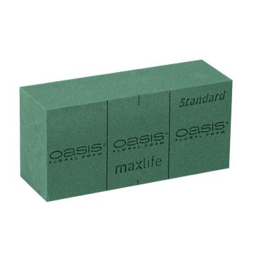 OASIS® Standard Maxlife Mousse à piquer humide Brique avec des lignes de découpe, vert, 23x11x7,5cm