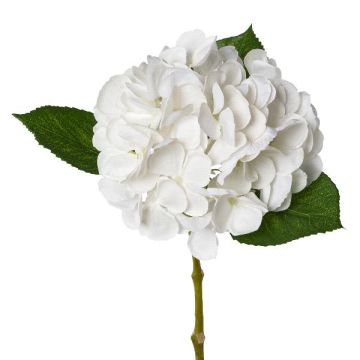 Fleur en plastique Hortensia KLUVT, blanc, 50cm Fleur en plastique Hortensia KLUVT, blanc, 50cm