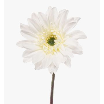 Gerbera artificiel FRALWE, collection Eco, blanc, 65 cm, Ø 13 cm Gerbera artificiel FRALWE, collection Eco, blanc, 65 cm, Ø 13 cm