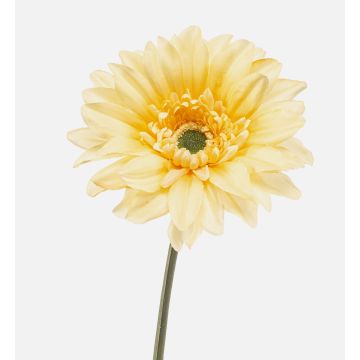 Gerbera artificiel FRALWE, collection Eco, jaune clair, 65 cm, Ø 13 cm Gerbera artificiel FRALWE, collection Eco, jaune clair, 65 cm, Ø 13 cm
