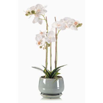 Orchidée Phalaenopsis décorative JOLANA en pot en céramique, blanche, 45cm Orchidée Phalaenopsis décorative JOLANA en pot en céramique, blanche, 45cm