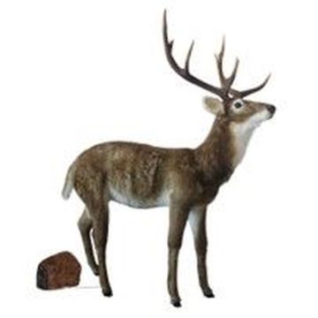 Figurine décorative cerf XXL BLAER, brun-blanc, 138x63x172cm Figurine décorative cerf XXL BLAER, brun-blanc, 138x63x172cm
