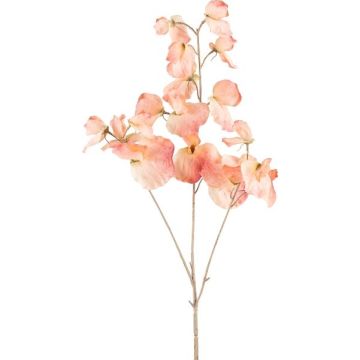 Branche artificielle Lathyrus latifolius SLIRKEN, abricot, 75cm Branche artificielle Lathyrus latifolius SLIRKEN, abricot, 75cm