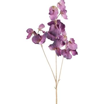 Branche artificielle Lathyrus latifolius SLIRKEN, lilas foncé, 75cm