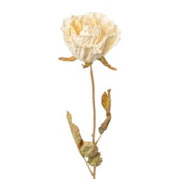 Fleur artificielle Rose PANSOK, aspect sec, crème, 55cm