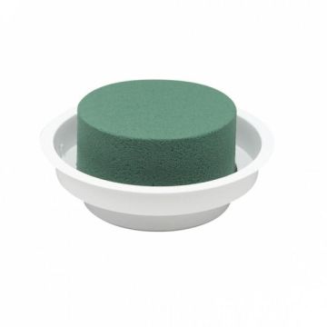 OASIS® Ideal Mousse à piquer humide Cylindre dans une coupe en plastique, vert-blanc, 5cm, Ø12cm