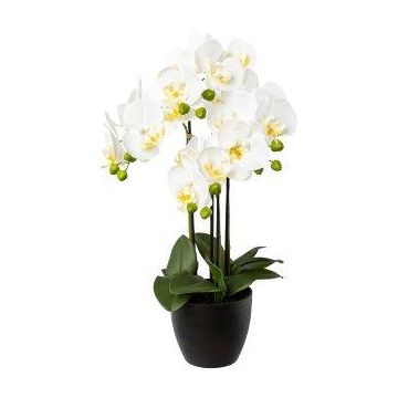 Orchidée Phalaenopsis décorative UKERNA dans un cache-pot en résine, blanc, 55cm