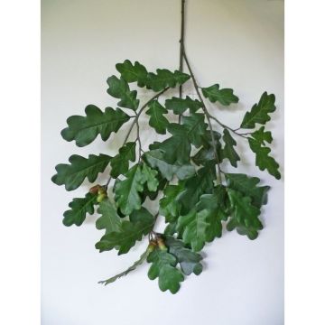 Branche de chêne artificielle RICHARD avec glands, difficilement inflammable, 65cm Branche de chêne artificielle RICHARD avec glands, difficilement inflammable, 65cm