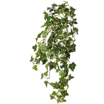 Lierre artificiel suspendu ARJANA, tige d'insertion, difficilement inflammable, vert-blanc, 75 cm Lierre artificiel suspendu ARJANA, tige d'insertion, difficilement inflammable, vert-blanc, 75 cm
