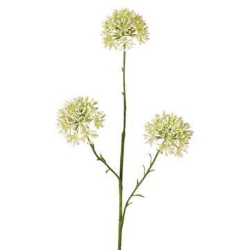 Rameau décoratif d'Allium ALIKIO, blanche, 65cm, Ø7cm