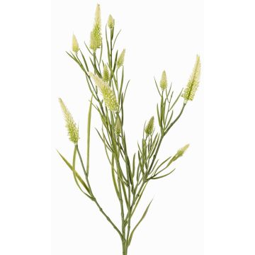 Branche artificielle Trèfle EUTIN avec des fleurs, blanc-vert, 80cm, Ø1,5-2cm Branche artificielle Trèfle EUTIN avec des fleurs, blanc-vert, 80cm, Ø1,5-2cm