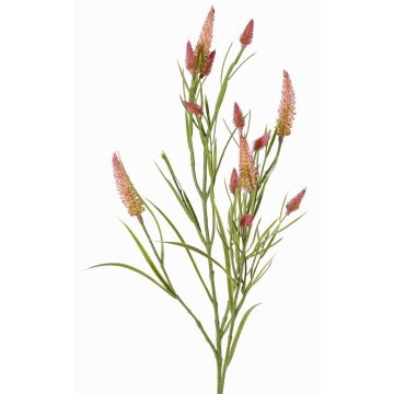 Branche artificielle Trèfle EUTIN avec des fleurs, vieux rose-vert, 80cm, Ø1,5-2cm Branche artificielle Trèfle EUTIN avec des fleurs, vieux rose-vert, 80cm, Ø1,5-2cm