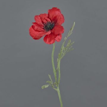 Anémone décorative OKAPI, rouge, 55cm, Ø10cm