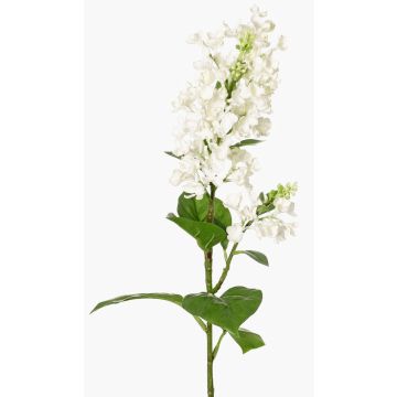 Fleur artificielle Lilas ADMIR, blanc, 80cm, Ø6-9cm Fleur artificielle Lilas ADMIR, blanc, 80cm, Ø6-9cm
