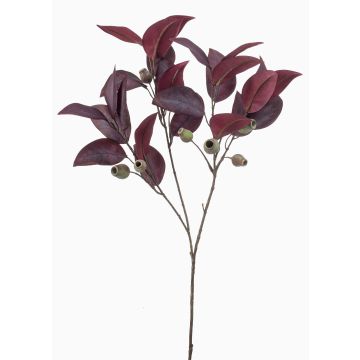Branche d'eucalyptus artificielle VIZIMIR avec fruits, rouge bordeaux, 80 cm