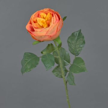 Textil Kohl-Rose VANNI, orange, 60cm, Ø9cm Textil Kohl-Rose VANNI, orange, 60cm, Ø9cm