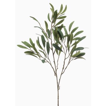 Branche d'olivier décorative RIGELIO, 80cm Branche d'olivier décorative RIGELIO, 80cm