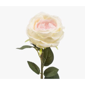Fleur artificielle rose THYRI, rose crème, 65 cm, Ø 10 cm