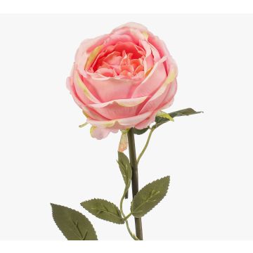 Fleur artificielle Rose THYRI, rose, 65 cm, Ø 10 cm Fleur artificielle Rose THYRI, rose, 65 cm, Ø 10 cm