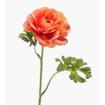 Fleur artificielle renoncule KRISTY, saumon-orange, 60cm, Ø10cm Fleur artificielle renoncule KRISTY, saumon-orange, 60cm, Ø10cm