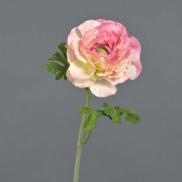 Fleur artificielle de renoncule KRISTY, rose-fuchsia, 60cm, Ø10cm Fleur artificielle de renoncule KRISTY, rose-fuchsia, 60cm, Ø10cm