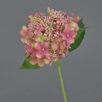 Fleur artificielle hortensia CALESA, vieux rose-vert, 50cm, Ø15cm