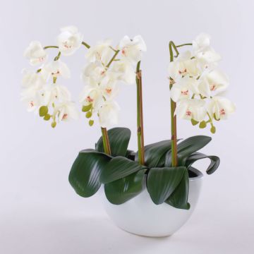 Orchidée Phalaenopsis artificielle JASMIN dans un cache-pot en céramique, blanche, 40 cm
