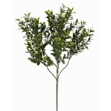 Branche de buis synthétique TOM, crossdoor, 45cm Branche de buis synthétique TOM, crossdoor, 45cm