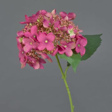 Fleur artificielle hortensia CALESA, fuchsia, 50cm, Ø15cm
