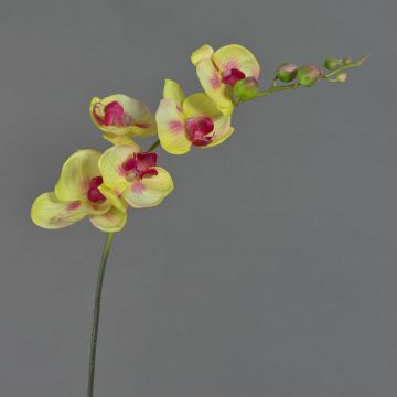 Orchidée Phalaenopsis artificielle DAJANA, jaune-rose, 90cm