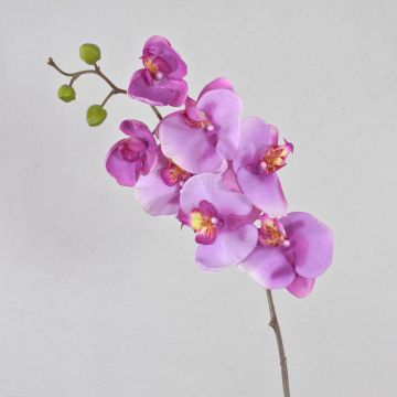 Orchidée Phalaenopsis décorative artificielle RICKY, violette, 95 cm, Ø 7-11 cm Orchidée Phalaenopsis décorative artificielle RICKY, violette, 95 cm, Ø 7-11 cm
