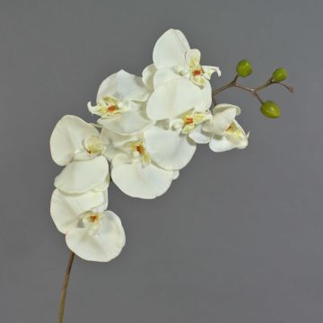Orchidée Phalaenopsis décorative artificielle RICKY, crème, 95 cm, Ø 7-11 cm