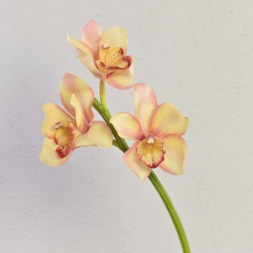 Branche d'orchidée Cymbidium artificielle SERAPHINA, jaune-rose, 45cm, Ø10-13cm Branche d'orchidée Cymbidium artificielle SERAPHINA, jaune-rose, 45cm, Ø10-13cm