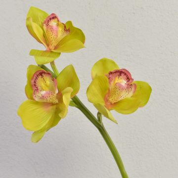 Branche d'orchidée Cymbidium artificielle SERAPHINA, vert-rose, 45cm, Ø10-13cm Branche d'orchidée Cymbidium artificielle SERAPHINA, vert-rose, 45cm, Ø10-13cm